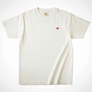 AXXE CLASSIC ORGANIC COTTON SHORT SLEEVE TEE ii`j